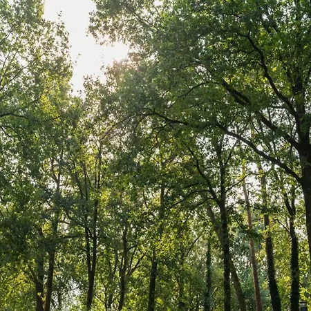 Woodland With Heated Pool, Cleaning Included Дом отдыха Хундерло